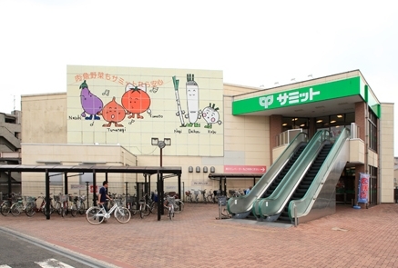 周辺環境 【スーパー】サミットストア太田窪店：1010�u