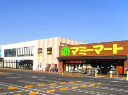 周辺環境 【スーパー】マミーマート川口安行店：750�u