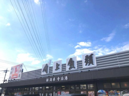 ӊ yX[p[zp㋛ސXF400u