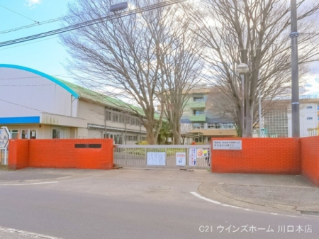 ӊ ywZznswZF400u