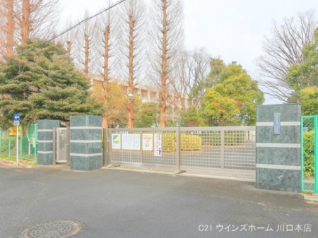 ӊ ywZznsꒆwZF340u