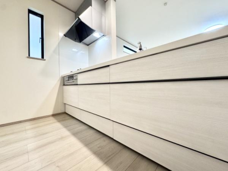 Lb` X^CbVȃVXeLb`́A[͂Ƌ@\˔AyȂԁBrOƂȂ郌CAEg͂łB