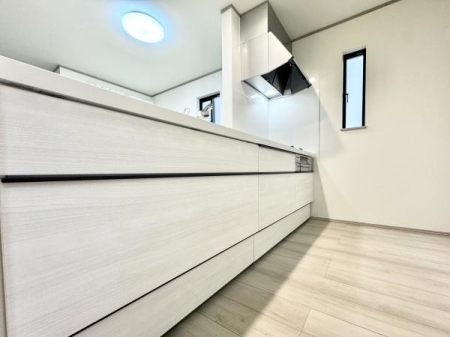 Lb` X^CbVȃVXeLb`́A[͂Ƌ@\˔AyȂԁBrOƂȂ郌CAEg͂łB