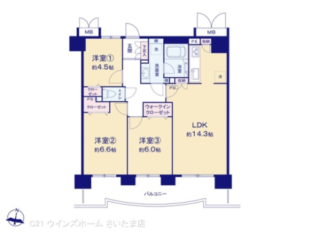 Ԏ} 2025N1tH[ςYȎIChoRj[ǏՂIS[EEH[NCN[[bgȂǎ[LxI