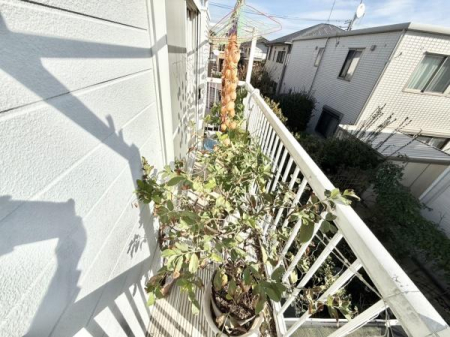 oRj[ ̗ǂ̃oRj[ݒuĂ܂I󕨂^bv܂I