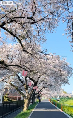 ̑ tɂ͎߂ŖJ̍gly߂AlĈUR[X΂ɁB
qlƂ̂UybgƂ̎ԂASn悭LȂ̂ɂȂ܂B