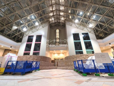 r[ ̃gXȂKXɕꂽAgEr[Bɂ鐁JoĂĂ܂Izer[̂悤ȂƂɂӂꂽґȋԂƂȂĂ܂B