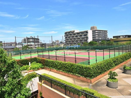 ̑p Ȃƃ}V̕~nɂ̓ejXR[ĝŁAxɂ͂vw₨qlƈꏏɃejXđ̂𓮂̂ǂłˁI