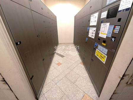 ̑p ɂȋ̂ƒɂz{bNXtIԎwȂłłו󂯎̂ŁAĔzBsvɂȂƂĂ֗ȐݔłB