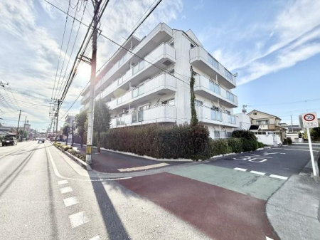 ̑n VIVzlYȎIߘa7Nmx[V\łICyɂ₢킹B