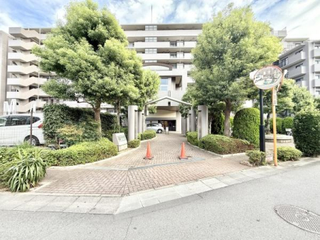 ̑n uؑOwZ܂œk11IuؒwZ܂œk11IwZ߂ql̒ʊwSłI