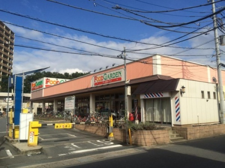 ӊ yX[p[zt[hK[fXF244u