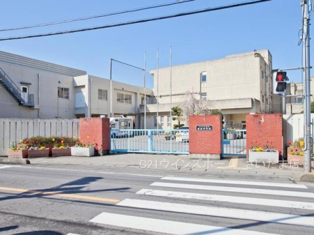 ӊ ywZz܎stwZF913u