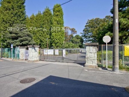 ӊ ywZznsꒆwZF1270u