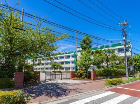 ӊ ywZz旧ˏwZF900u