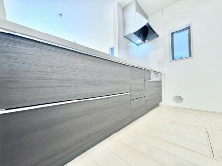 Lb` X^CbVȃVXeLb`́A[͂Ƌ@\˔AyȂԁBrOƂȂ郌CAEg͂łB