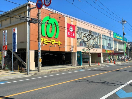 ӊ yX[p[z}~[}[gœXF250u