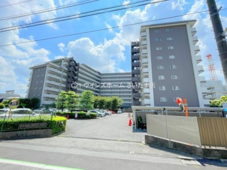 ̑n 2025N8mx[VςYȎIzǍDȓI