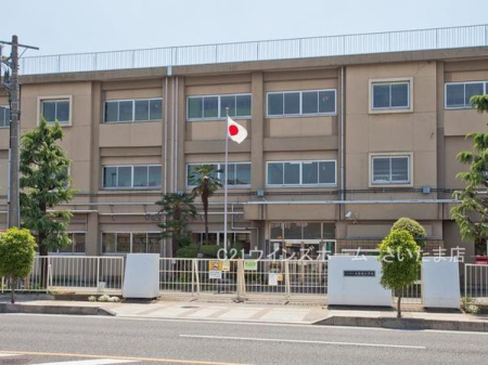 ӊ ywZz܎s{쏬wZF1700u