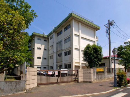 ӊ ywZz܎sՏwZF750u