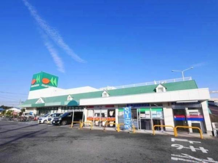 ӊ yX[p[z}GcskJXF450u