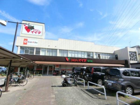 ӊ yX[p[zRfBCC_sXF650u