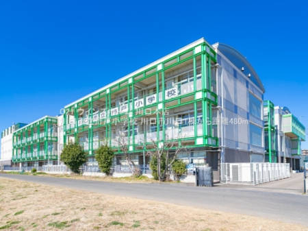 ӊ ywZzsMˏwZF480u