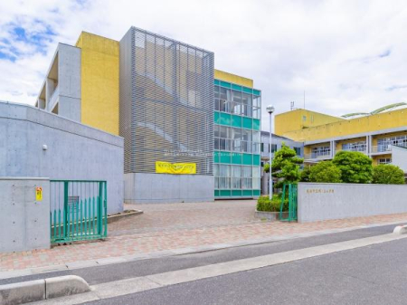 ���ӊ� �y���w�Z�z�z�J�s����m�㏬�w�Z�F800�u