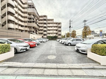 ̑n JRuYavwk5Iw`Jŗ֐ʋ΁EʊwEoKłI