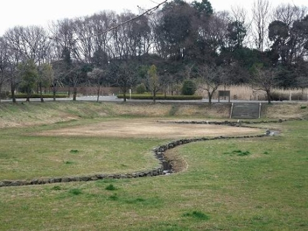 ӊ yzcׂӂ邳Ƃ̐XF1960u