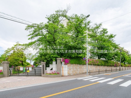 ӊ ywZz܎s؍蒆wZF180u