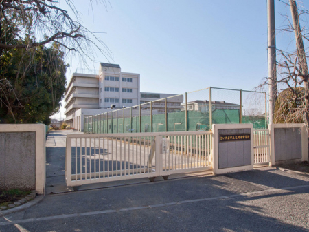 ӊ ywZz܎sԖؒwZF253u