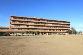 ӊ ywZzxmsJwZF805u