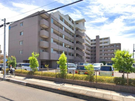 nOώʐ^ uVzJvw~uzJvw2w2Hp\ȗ֐ɕx񂾃}VBLʐ89ĒES6ȏ̓쓌Z˂łIZҗl݂̂geX{ptȂ̂ŁAˌĂ̊o킦܂I