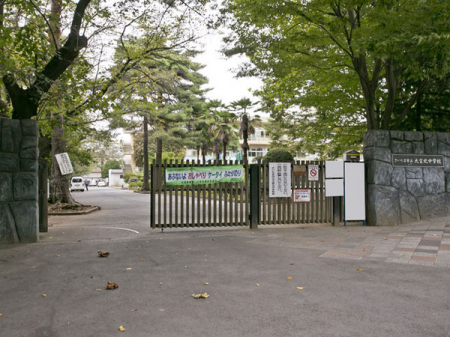 ӊ ywZz܎s{kwZF1400u