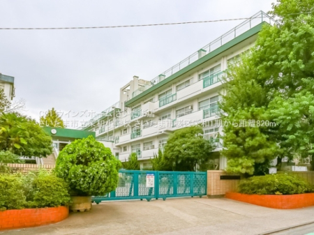 ӊ ywZz܎shawZF800u