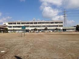 ӊ ywZzs㕽wZF1297u