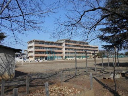 ӊ ywZzs㕽wZF499u