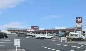 ӊ yX[p[zxCVA˓XF591u