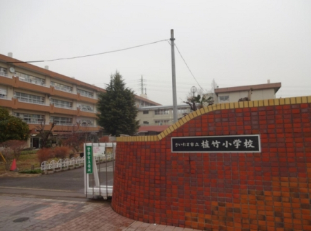 ӊ ywZz܎sA|wZF374u