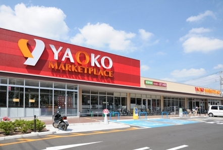 ӊ yX[p[zIR[{~͒XF221u