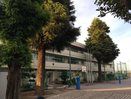 ӊ ywZzxmsJwZF425u