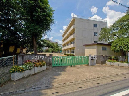 ӊ ywZz܎s卻ywZF550u