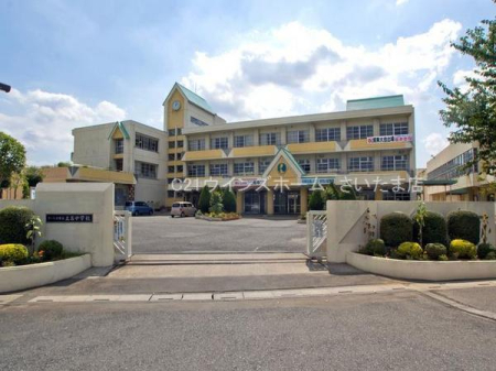 ӊ ywZz܎syCwZF750u