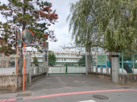 ӊ ywZz܎sЖwZF2880u