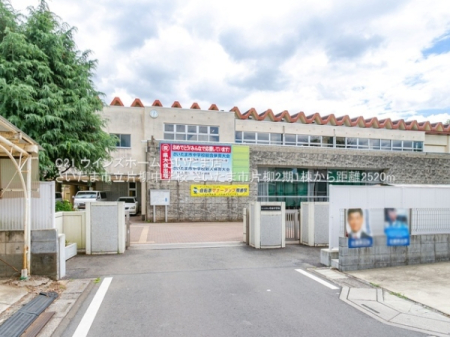 ӊ ywZz܎sЖwZF2520u