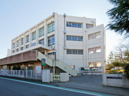 ӊ ywZz܎s{wZF500u