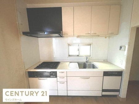 Lb` `݌˒ItLb``
X^CbVȃLb`Ă܂!
