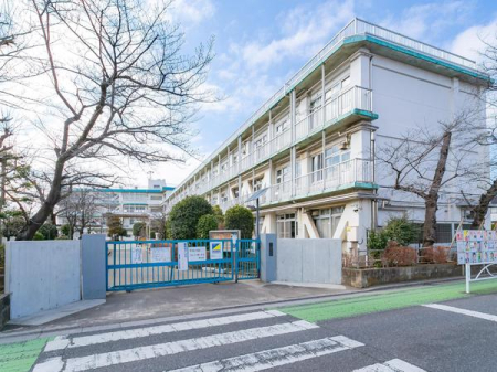 ӊ ywZz˓csڏwZF435u