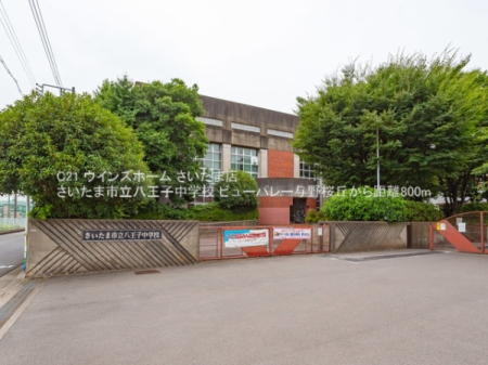 ӊ ywZz܎sqwZF800u